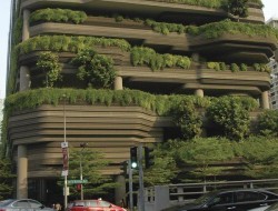 Biophilic-cities-are-using-GIS-to-support-nature-focused-urbanplanning.jpg